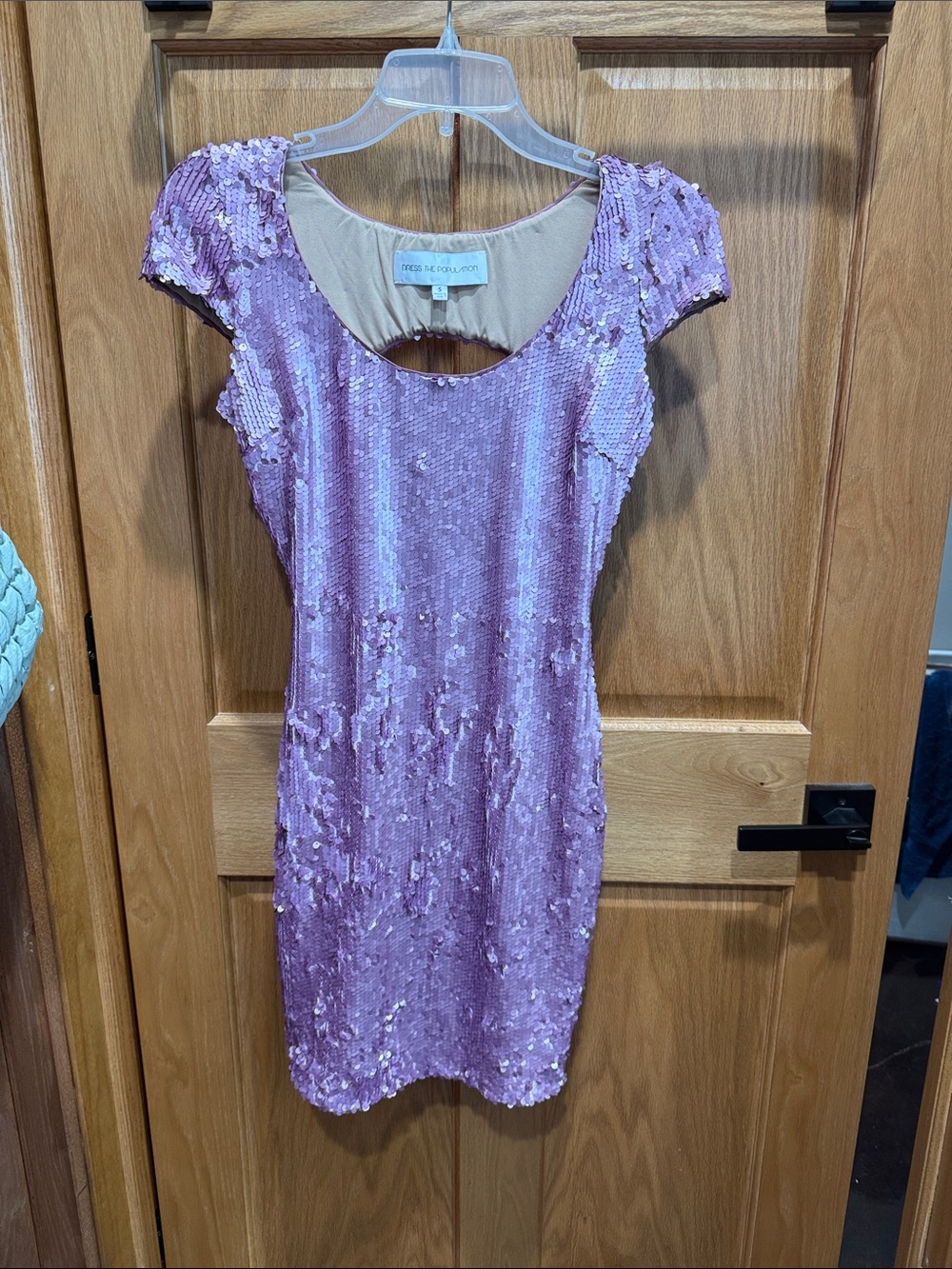 Dress the Population Sequin Dress